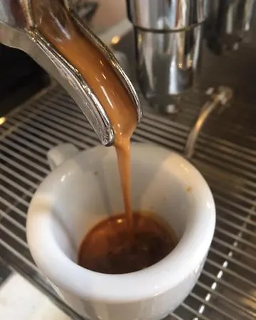 Dahlia Alojamento de Acomodação e Pequeno-almoço