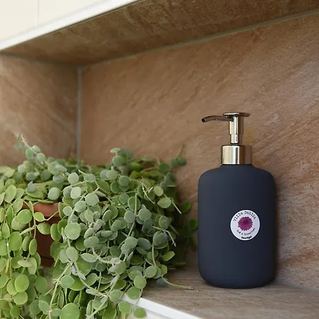 Alojamento de Acomodação e Pequeno-almoço Dahlia 3*