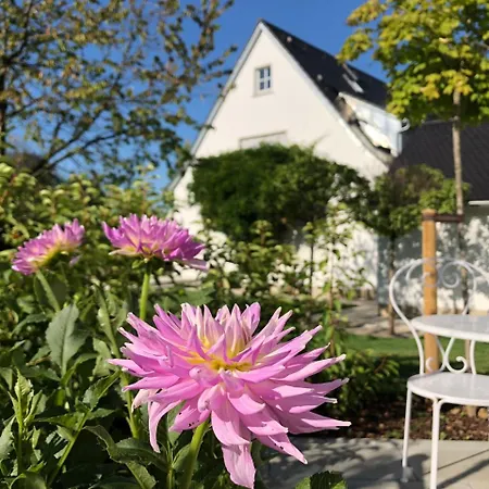 Alojamento de Acomodação e Pequeno-almoço Dahlia