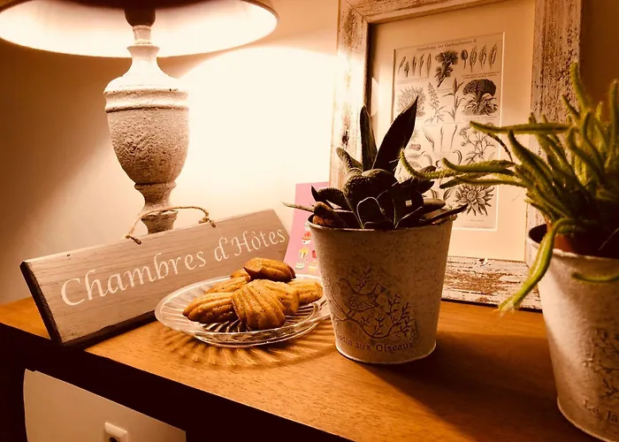 B&B Dahlia 바크낭