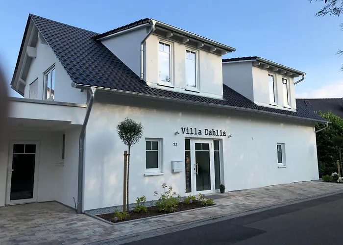 B&B Dahlia 바크낭