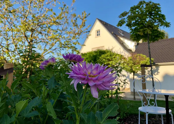 B&B Dahlia 바크낭