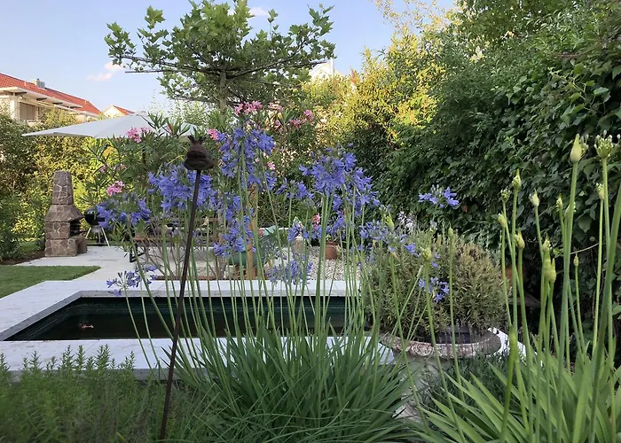 Dahlia B&B 바크낭